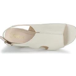 Gabor - 61712