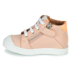 GBB - ALICIA