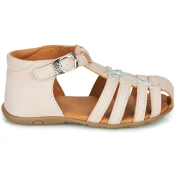 GBB - ANAYA
