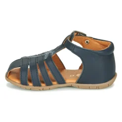 GBB - ANAYA