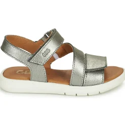 GBB - ANISSA