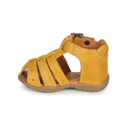 GBB - ARIGO