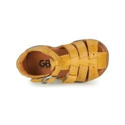 GBB - ARIGO