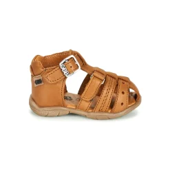 GBB - ARIGO