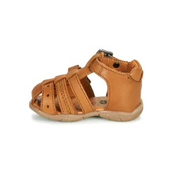 GBB - ARIGO