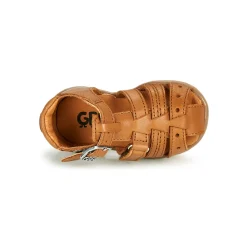 GBB - ARIGO