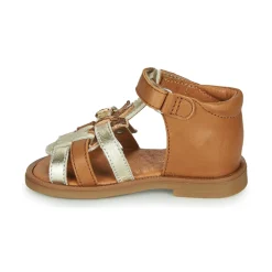GBB - CARETTE