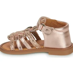 GBB - CARETTE