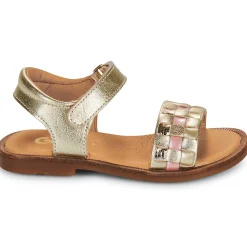 GBB - CARETTE