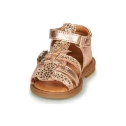 GBB - CARETTE