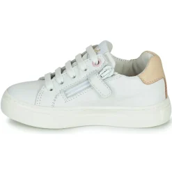 GBB - EVANNE