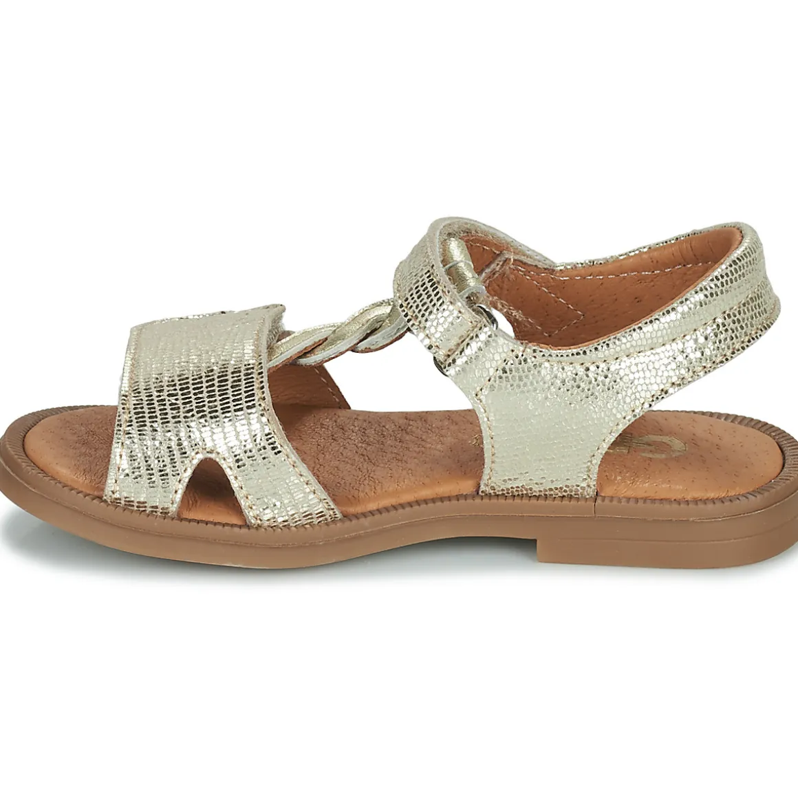GBB - FARENA