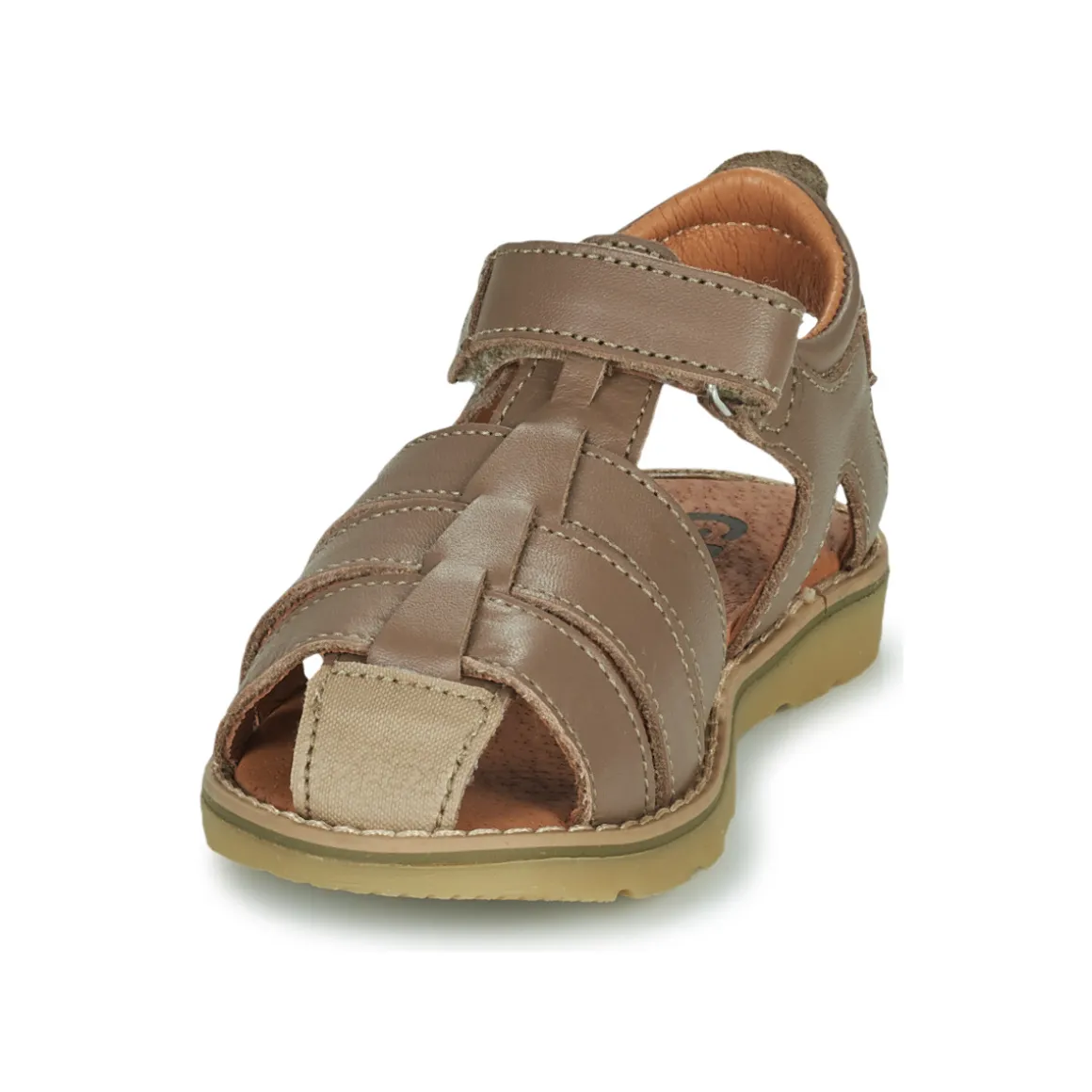 GBB - FERNATO