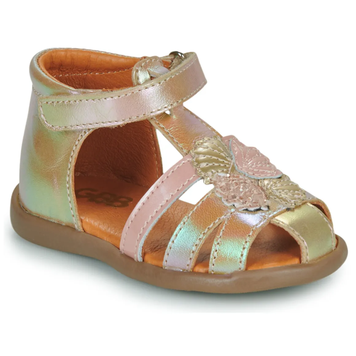 GBB - FLORE