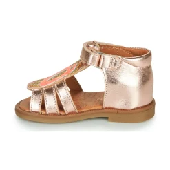 GBB - FRANIA