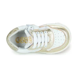 GBB - JOEY