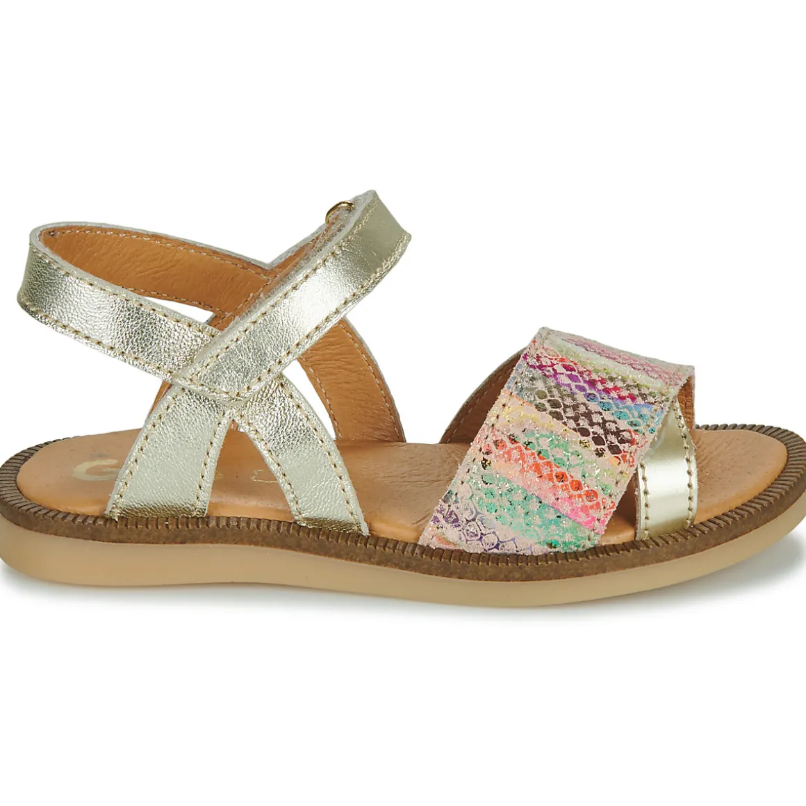 GBB - LISABELLA