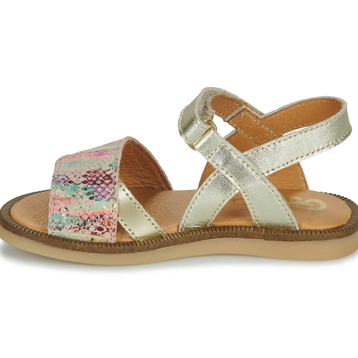 GBB - LISABELLA
