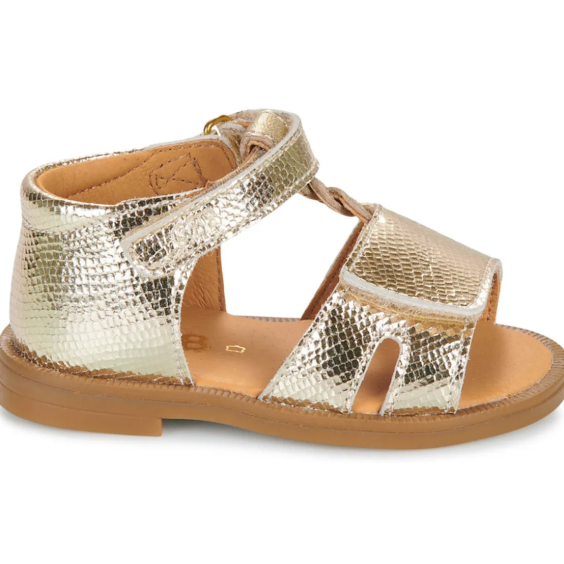 GBB - LORIE*