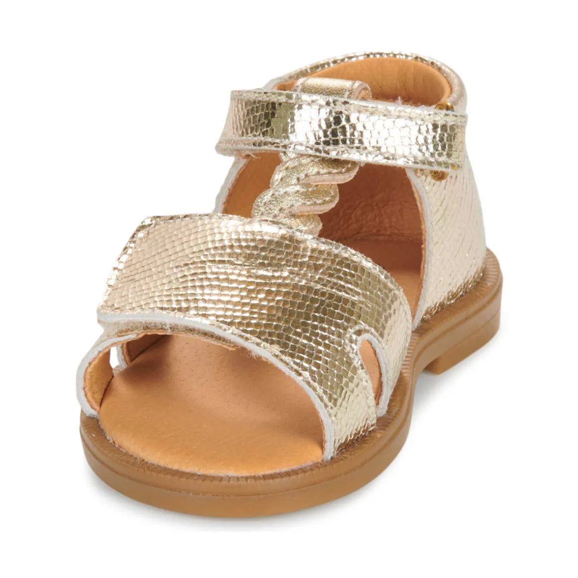 GBB - LORIE*
