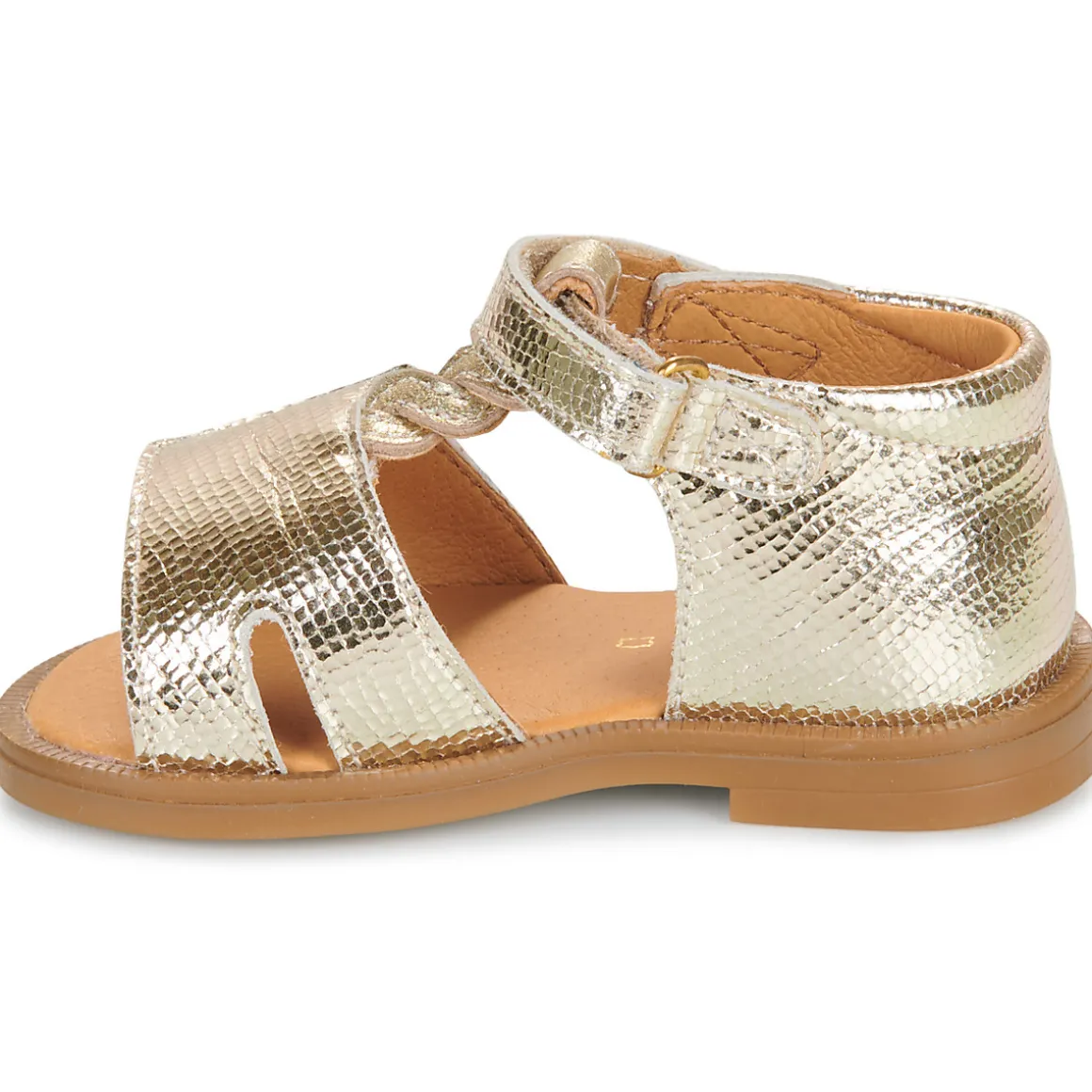 GBB - LORIE*