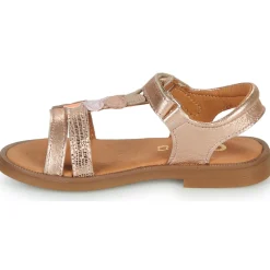 GBB - MAISIE