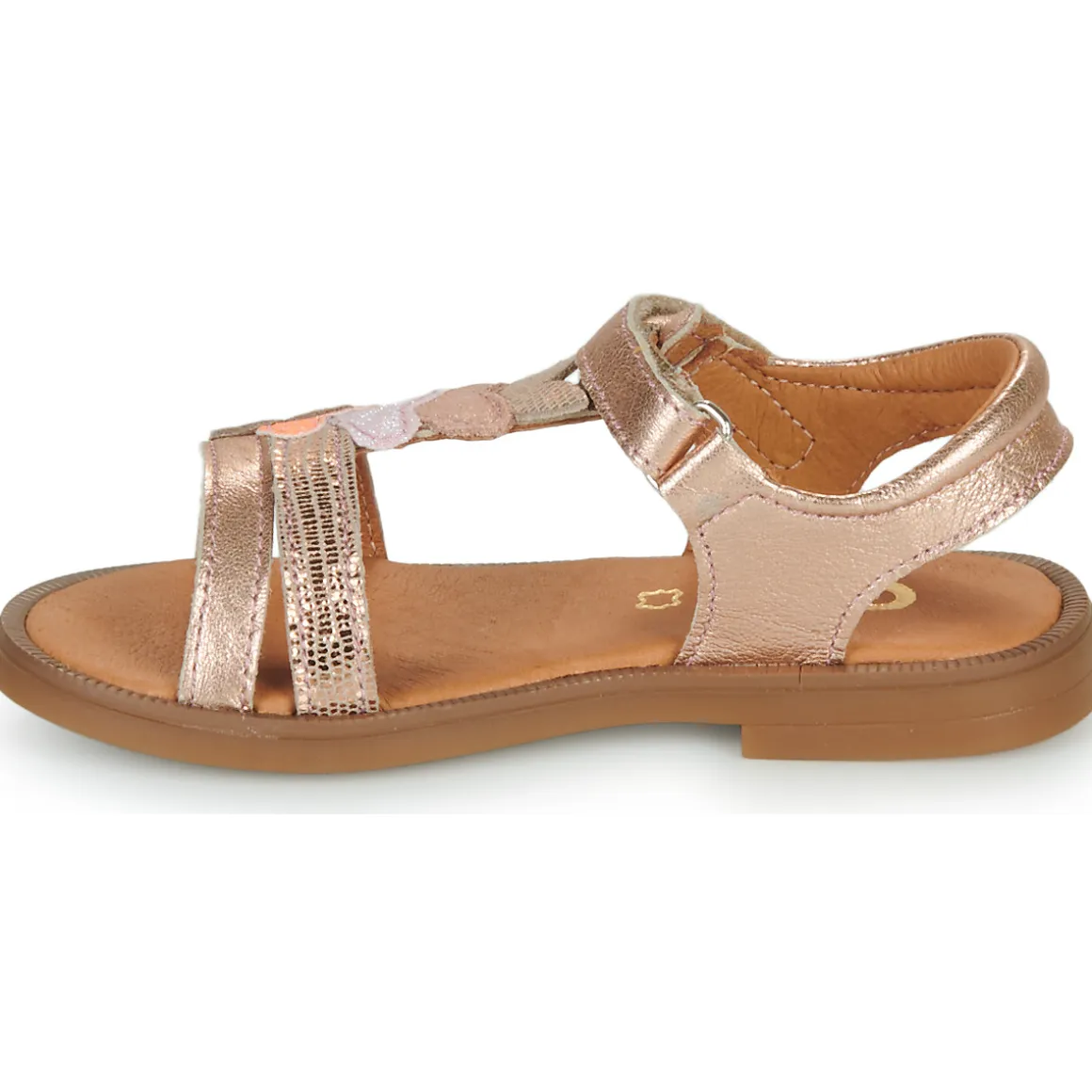 GBB - MAISIE
