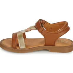 GBB - MAISIE