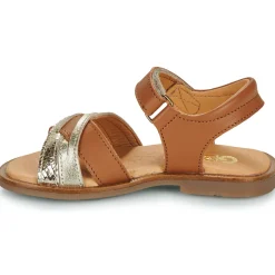 GBB - MELISSA
