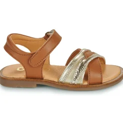 GBB - MELISSA