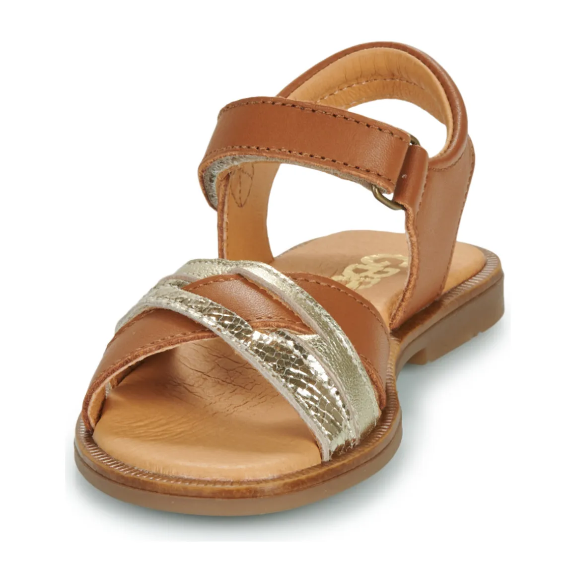 GBB - MELISSA