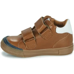 GBB - ONDINO