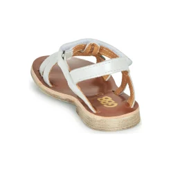 GBB - SAPELA