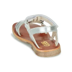 GBB - SAPELA