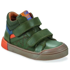 GBB - TANGUY