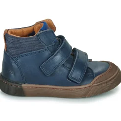 GBB - TERENCE