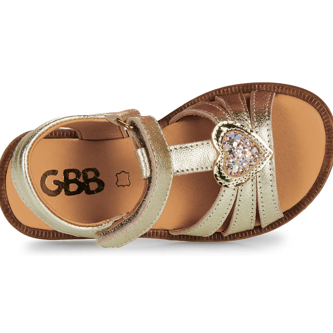 GBB - ZEALINE