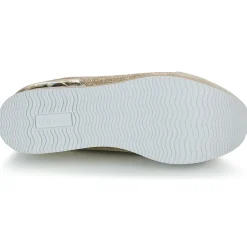 Guess - HANSIN 2