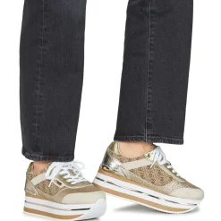 Guess - HANSIN 2