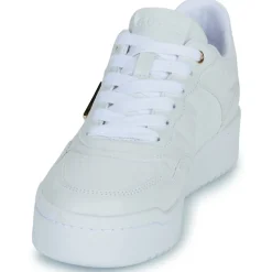 Guess - MIRAM6