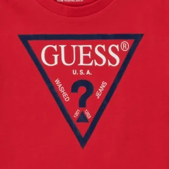 Guess - THOLMA