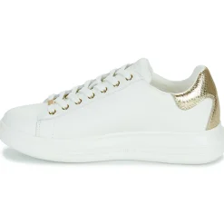 Guess - VIBO