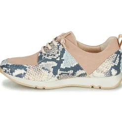 Hispanitas - KIOTO