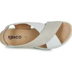 IgI&CO - 5668811