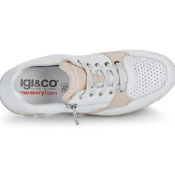 IgI&CO - D.ANIKA