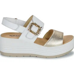 IgI&CO - D.CLEA