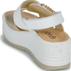 IgI&CO - D.CLEA