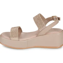 IgI&CO - DONNA ENGY
