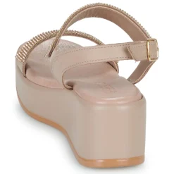 IgI&CO - DONNA ENGY