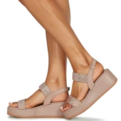 IgI&CO - DONNA ENGY